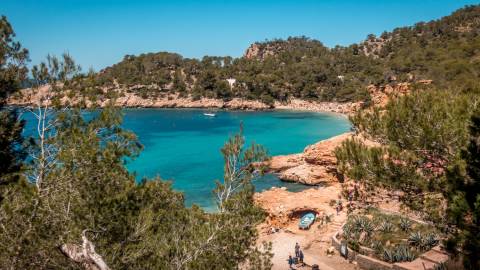 Isola d’Elba Velamica